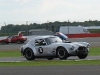 Cobra Silverstone 2011